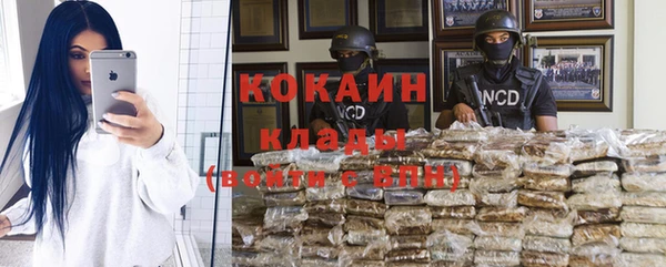 МДПВ Заводоуковск