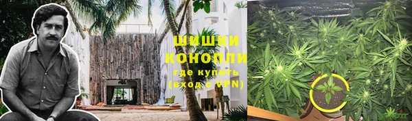МДПВ Заводоуковск