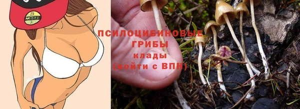 прущие крисы Заволжье