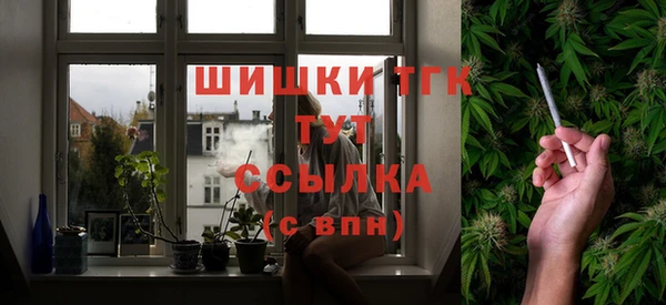 МДПВ Заводоуковск